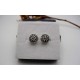 Boucles d'oreille en argent.