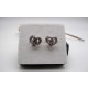 Boucles d'oreille en argent.