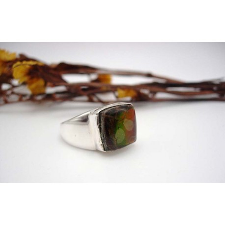 Bague argent et Ammolite T53.5